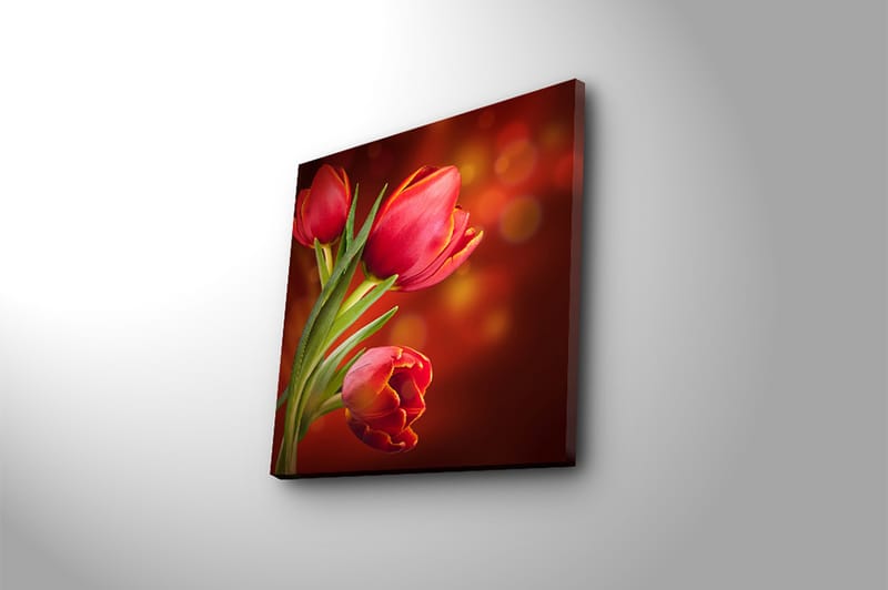 Canvastaulu Animal Monivärinen - 45x45 cm - Sisustustuotteet - Taulu & taide - Canvas-taulu