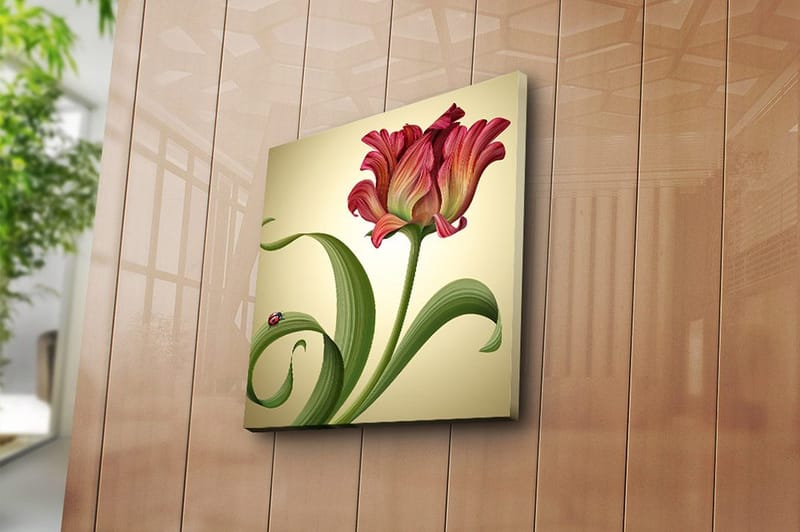 Canvastaulu Animal Monivärinen - 45x45 cm - Sisustustuotteet - Taulu & taide - Canvas-taulu