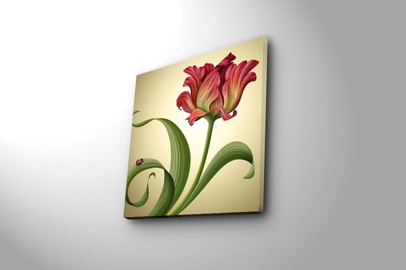 Canvastaulu Animal Monivärinen - 45x45 cm - Sisustustuotteet - Taulu & taide - Canvas-taulu