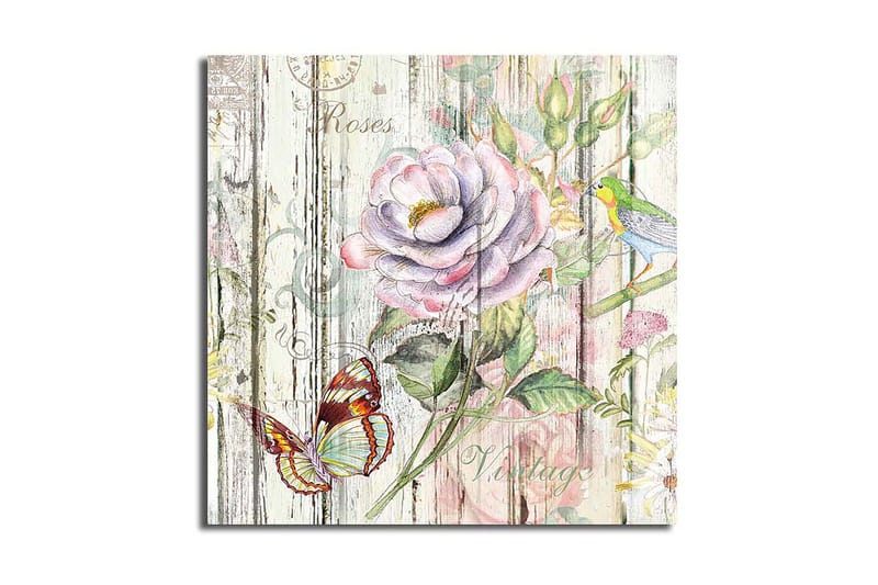 Canvastaulu Animal Monivärinen, 45x45 cm