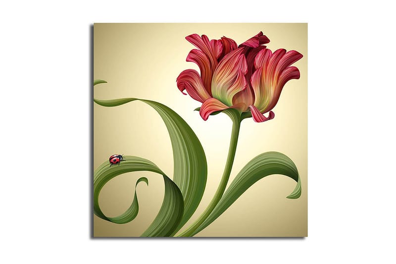 Canvastaulu Animal Monivärinen, 45x45 cm