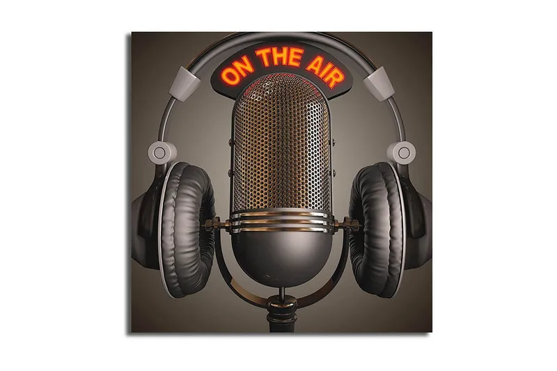 Canvastaulu Animal Monivärinen, 45x45 cm