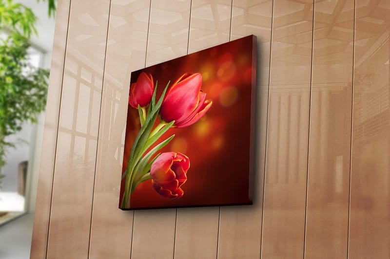 Canvastaulu Animal Monivärinen - 45x45 cm - Sisustustuotteet - Taulu & taide - Canvas-taulu