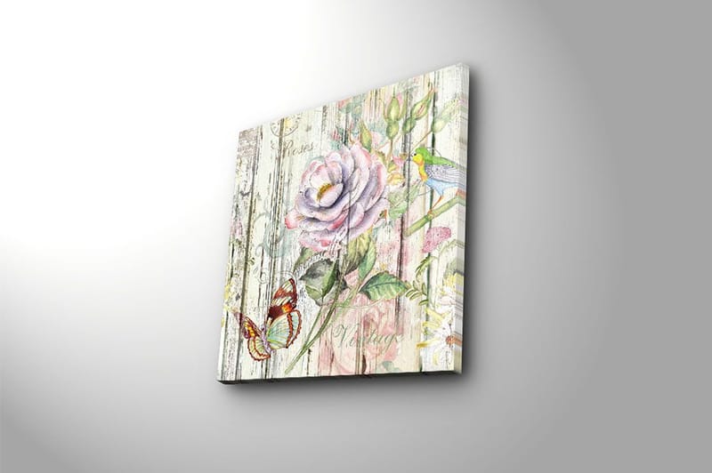 Canvastaulu Animal Monivärinen - 45x45 cm - Sisustustuotteet - Taulu & taide - Canvas-taulu