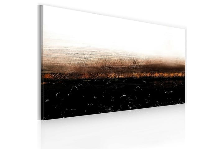 Canvastaulu Black Soil112x06 cm - Artgeist sp. z o. o. - Canvas-taulu - Seinäkoristeet