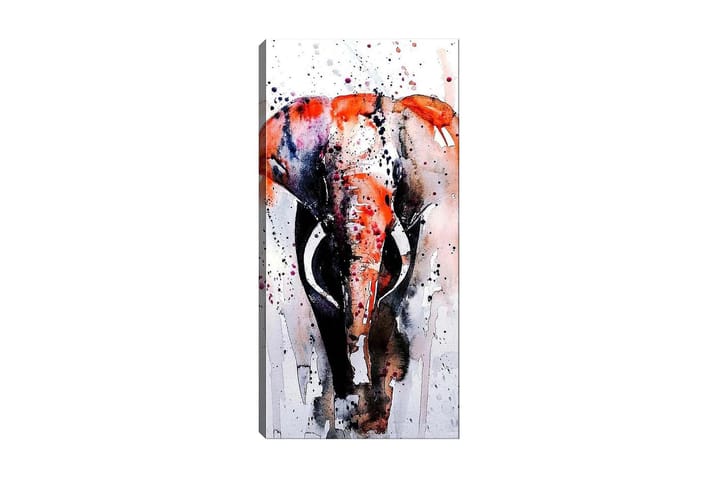 Canvastaulu DKY Animals Monivärinen - 50x120 cm - Canvas-taulu - Seinäkoristeet