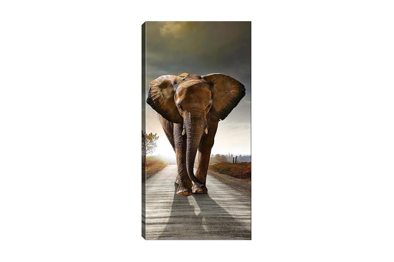 Canvastaulu DKY Animals Monivärinen - 50x120 cm - Sisustustuotteet - Taulu & taide - Canvas-taulu