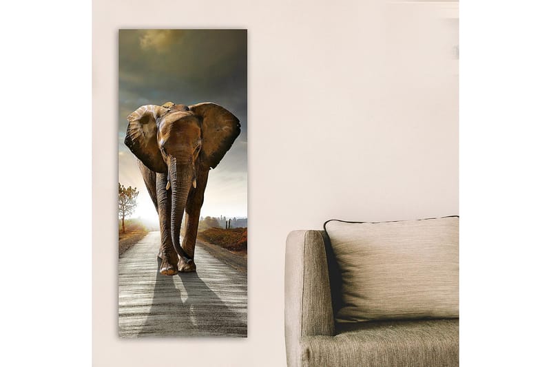 Canvastaulu DKY Animals Monivärinen - 50x120 cm - Canvas-taulu - Seinäkoristeet