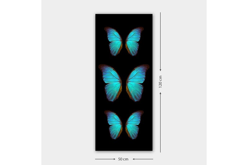 Canvastaulu DKY Animals Monivärinen - 50x120 cm - Sisustustuotteet - Taulu & taide - Canvas-taulu