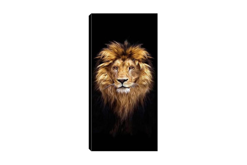 Canvastaulu DKY Animals Monivärinen - 50x120 cm - Sisustustuotteet - Taulu & taide - Canvas-taulu