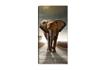 Canvastaulu DKY Animals Monivärinen - 50x120 cm - Sisustustuotteet - Taulu & taide - Canvas-taulu
