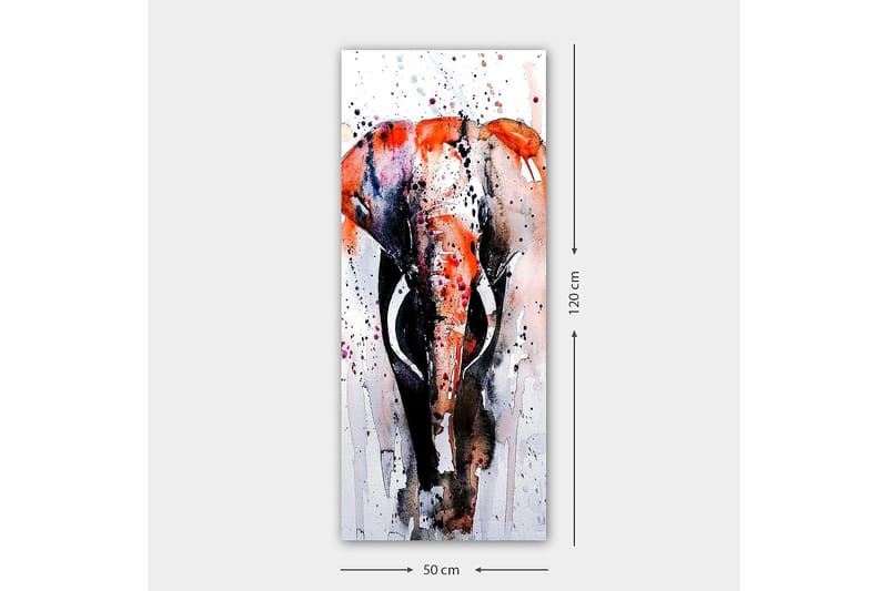 Canvastaulu DKY Animals Monivärinen - 50x120 cm - Sisustustuotteet - Taulu & taide - Canvas-taulu
