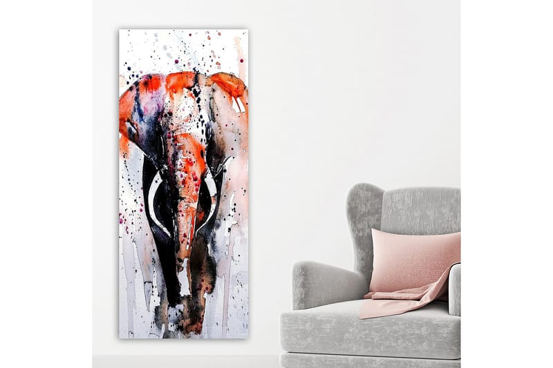 Canvastaulu DKY Animals Monivärinen - 50x120 cm - Sisustustuotteet - Taulu & taide - Canvas-taulu