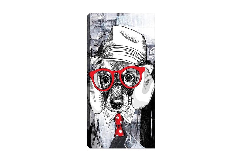 Canvastaulu DKY Animals Monivärinen, 50x120 cm