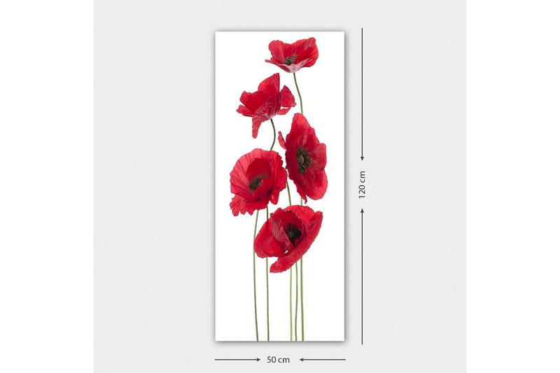Canvastaulu DKY Floral & Botanical Monivärinen - 50x120 cm - Sisustustuotteet - Taulu & taide - Canvas-taulu