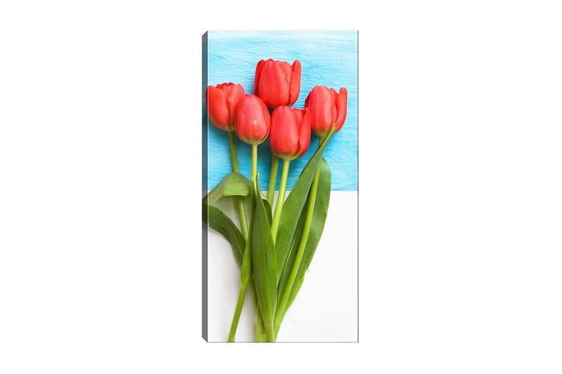 Canvastaulu DKY Floral & Botanical Monivärinen - 50x120 cm - Sisustustuotteet - Taulu & taide - Canvas-taulu