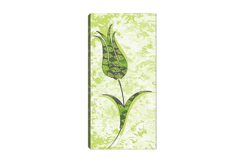 Canvastaulu DKY Floral & Botanical Monivärinen - 50x120 cm - Sisustustuotteet - Taulu & taide - Canvas-taulu
