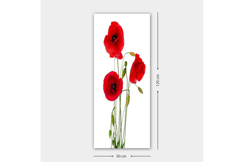 Canvastaulu DKY Floral & Botanical Monivärinen - 50x120 cm - Sisustustuotteet - Taulu & taide - Canvas-taulu