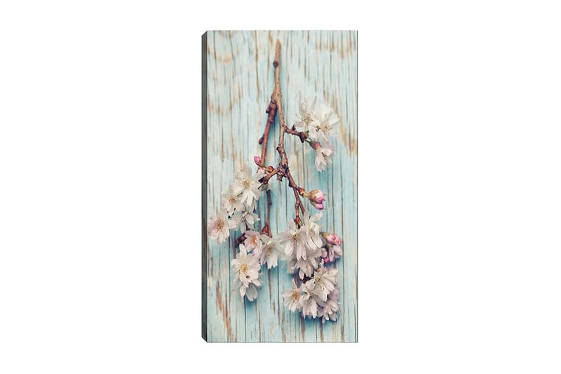 Canvastaulu DKY Floral & Botanical Monivärinen - 50x120 cm - Sisustustuotteet - Taulu & taide - Canvas-taulu