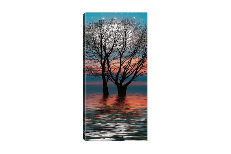 Canvastaulu DKY Floral & Botanical Monivärinen - 50x120 cm - Sisustustuotteet - Taulu & taide - Canvas-taulu