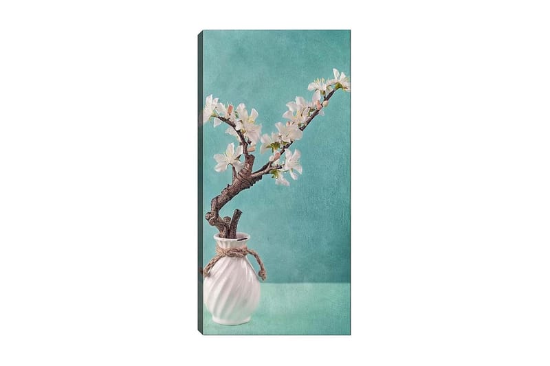Canvastaulu DKY Floral & Botanical Monivärinen - 50x120 cm - Sisustustuotteet - Taulu & taide - Canvas-taulu