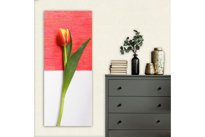 Canvastaulu DKY Floral & Botanical Monivärinen - 50x120 cm - Sisustustuotteet - Taulu & taide - Canvas-taulu