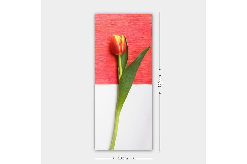 Canvastaulu DKY Floral & Botanical Monivärinen - 50x120 cm - Sisustustuotteet - Taulu & taide - Canvas-taulu