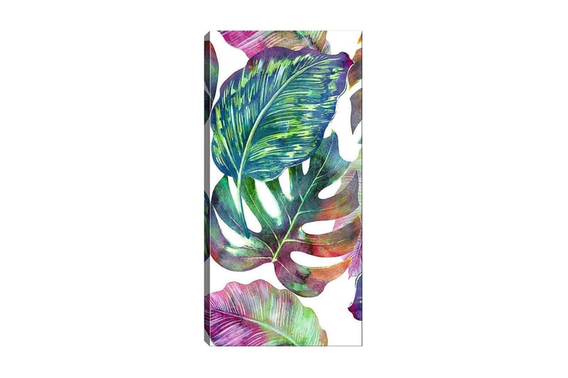 Canvastaulu DKY Floral & Botanical Monivärinen - 50x120 cm - Sisustustuotteet - Taulu & taide - Canvas-taulu