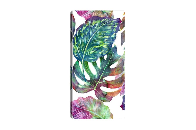 Canvastaulu DKY Floral & Botanical Monivärinen - 50x120 cm - Canvas-taulu - Seinäkoristeet