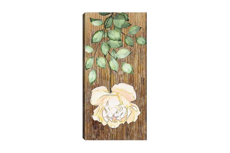 Canvastaulu DKY Floral & Botanical Monivärinen - 50x120 cm - Sisustustuotteet - Taulu & taide - Canvas-taulu
