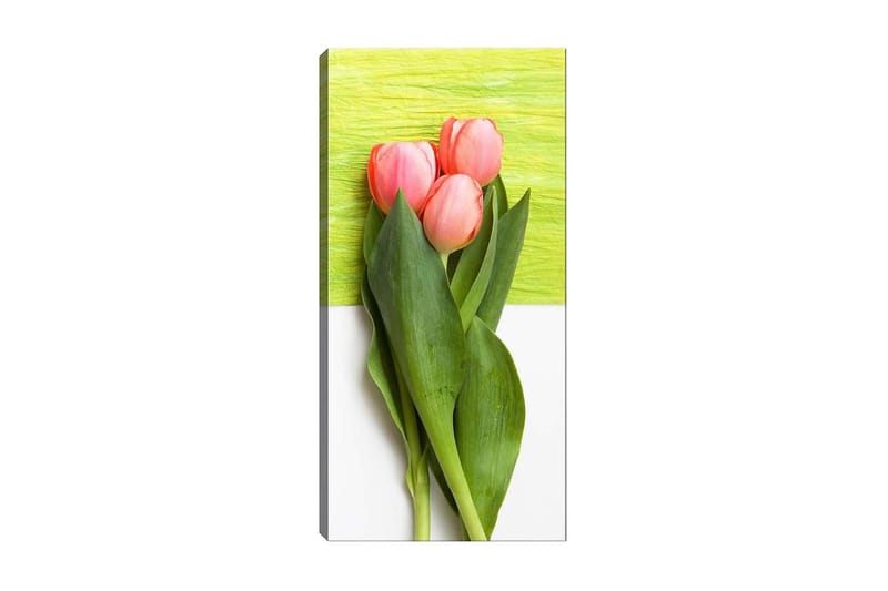 Canvastaulu DKY Floral & Botanical Monivärinen - 50x120 cm - Sisustustuotteet - Taulu & taide - Canvas-taulu
