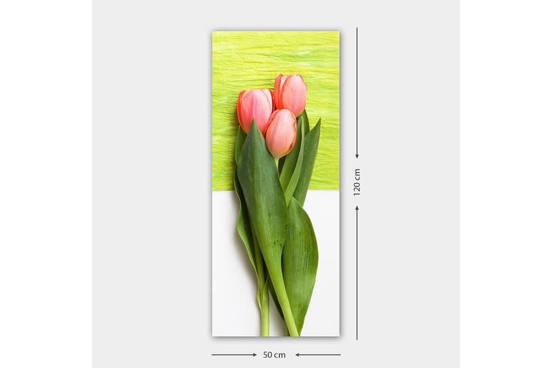Canvastaulu DKY Floral & Botanical Monivärinen - 50x120 cm - Sisustustuotteet - Taulu & taide - Canvas-taulu
