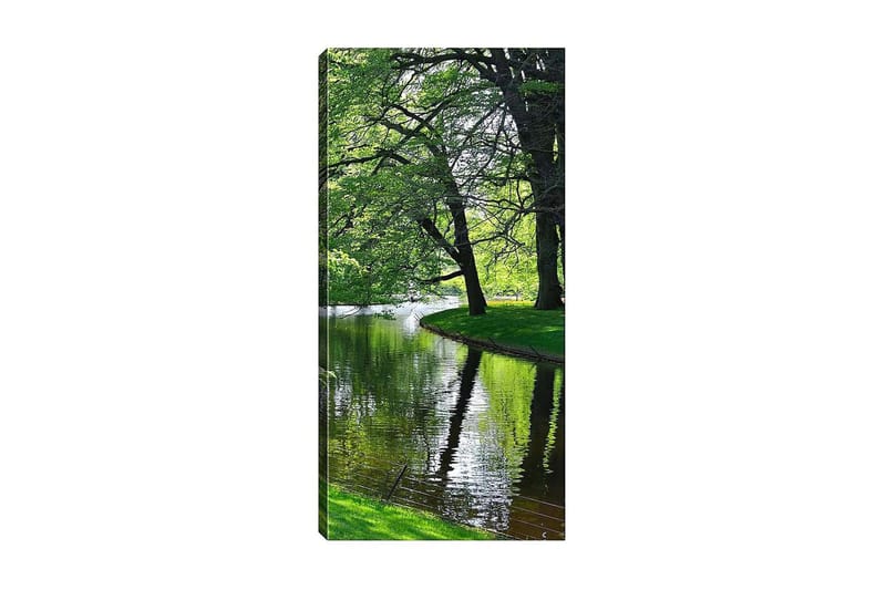Canvastaulu DKY Floral & Botanical Monivärinen - 50x120 cm - Sisustustuotteet - Taulu & taide - Canvas-taulu