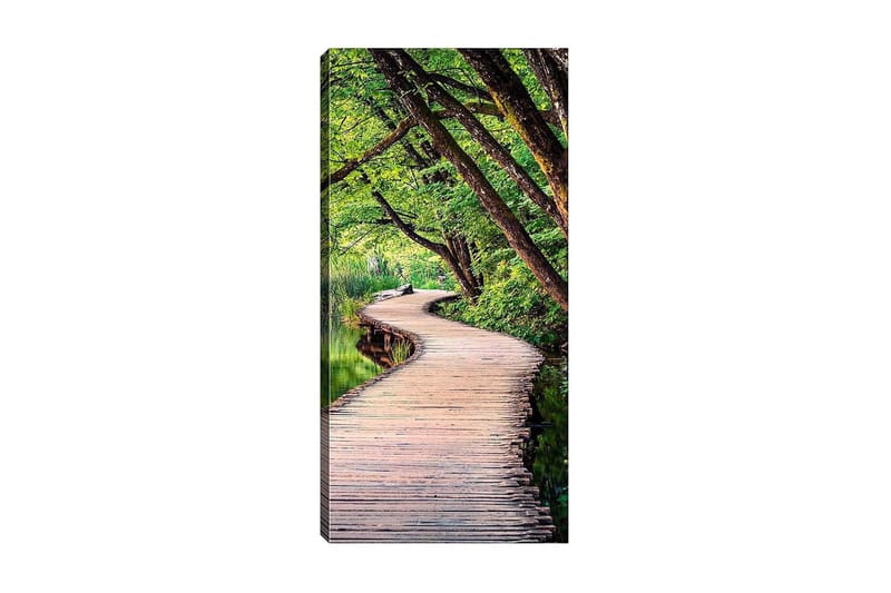 Canvastaulu DKY Floral & Botanical Monivärinen - 50x120 cm - Sisustustuotteet - Taulu & taide - Canvas-taulu