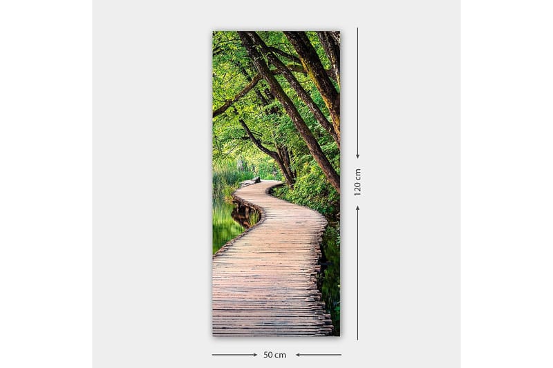 Canvastaulu DKY Floral & Botanical Monivärinen - 50x120 cm - Sisustustuotteet - Taulu & taide - Canvas-taulu