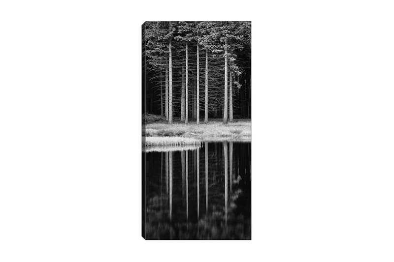 Canvastaulu DKY Floral & Botanical Monivärinen - 50x120 cm - Sisustustuotteet - Taulu & taide - Canvas-taulu