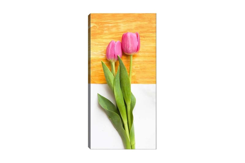 Canvastaulu DKY Floral & Botanical Monivärinen - 50x120 cm - Sisustustuotteet - Taulu & taide - Canvas-taulu