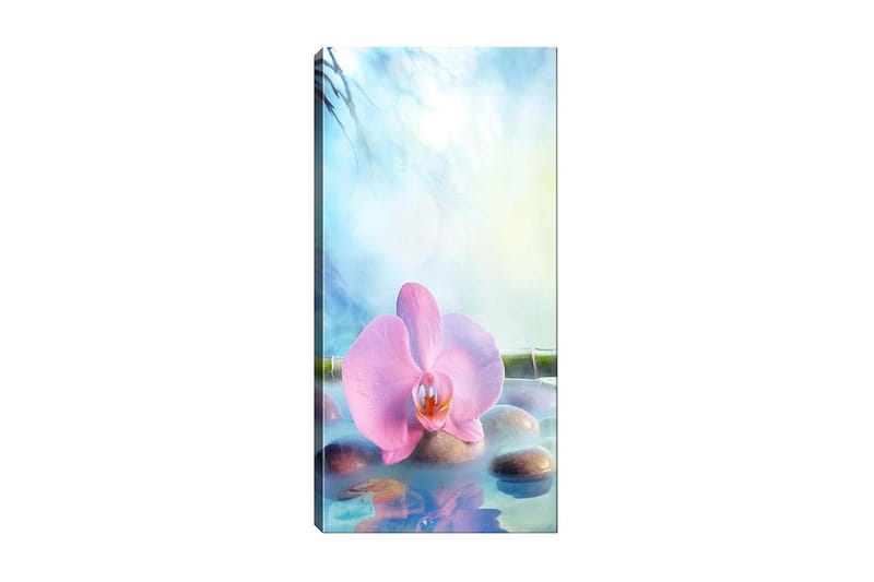 Canvastaulu DKY Floral & Botanical Monivärinen - 50x120 cm - Sisustustuotteet - Taulu & taide - Canvas-taulu