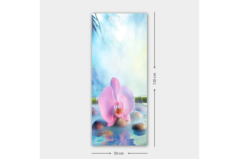 Canvastaulu DKY Floral & Botanical Monivärinen - 50x120 cm - Sisustustuotteet - Taulu & taide - Canvas-taulu