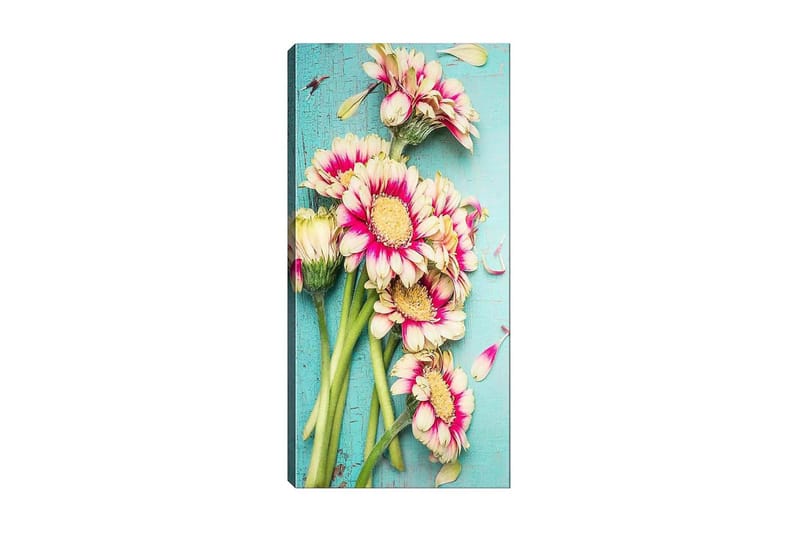 Canvastaulu DKY Floral & Botanical Monivärinen - 50x120 cm - Sisustustuotteet - Taulu & taide - Canvas-taulu