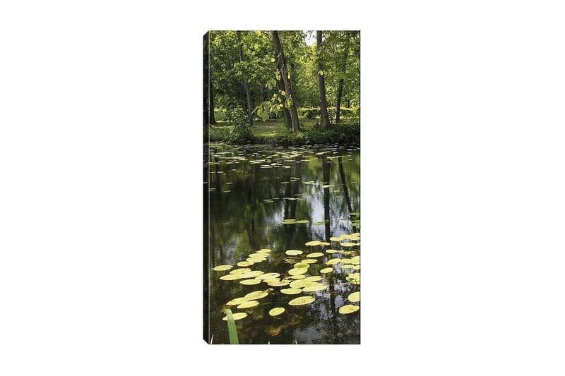 Canvastaulu DKY Floral & Botanical Monivärinen - 50x120 cm - Sisustustuotteet - Taulu & taide - Canvas-taulu