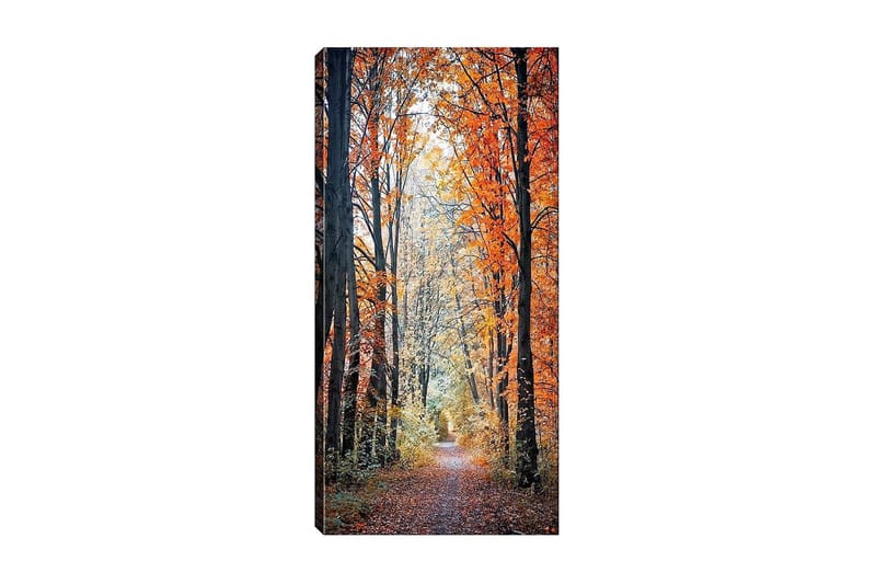 Canvastaulu DKY Floral & Botanical Monivärinen - 50x120 cm - Sisustustuotteet - Taulu & taide - Canvas-taulu