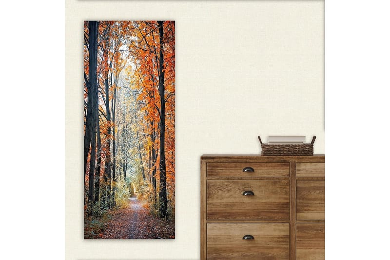 Canvastaulu DKY Floral & Botanical Monivärinen - 50x120 cm - Sisustustuotteet - Taulu & taide - Canvas-taulu