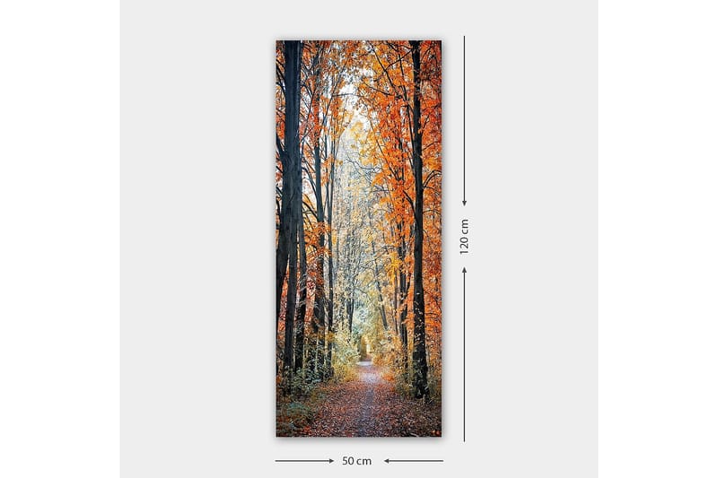 Canvastaulu DKY Floral & Botanical Monivärinen - 50x120 cm - Sisustustuotteet - Taulu & taide - Canvas-taulu