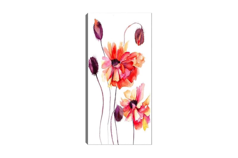 Canvastaulu DKY Floral & Botanical Monivärinen - 50x120 cm - Sisustustuotteet - Taulu & taide - Canvas-taulu
