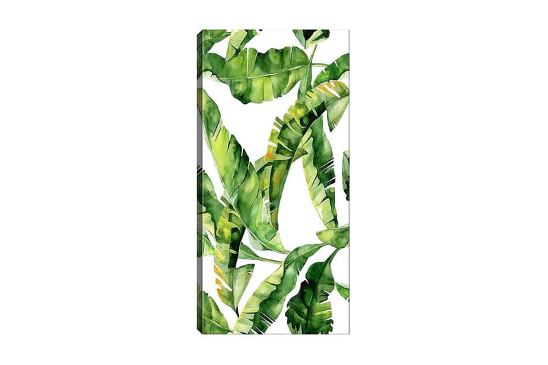 Canvastaulu DKY Floral & Botanical Monivärinen - 50x120 cm - Sisustustuotteet - Taulu & taide - Canvas-taulu