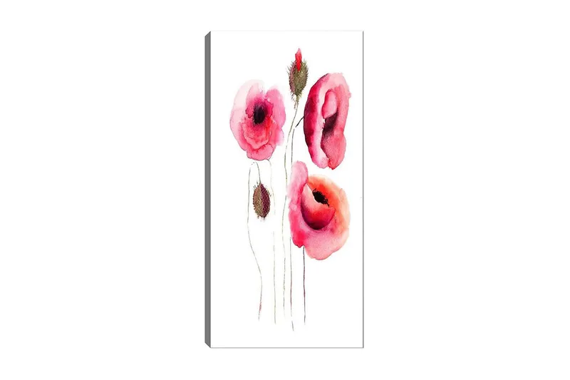 Canvastaulu DKY Floral & Botanical Monivärinen, 50x120 cm