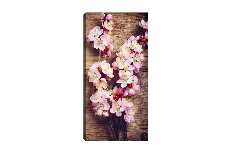 Canvastaulu DKY Floral & Botanical Monivärinen, 50x120 cm