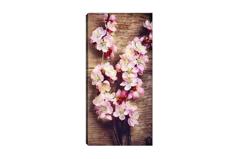 Canvastaulu DKY Floral & Botanical Monivärinen, 50x120 cm