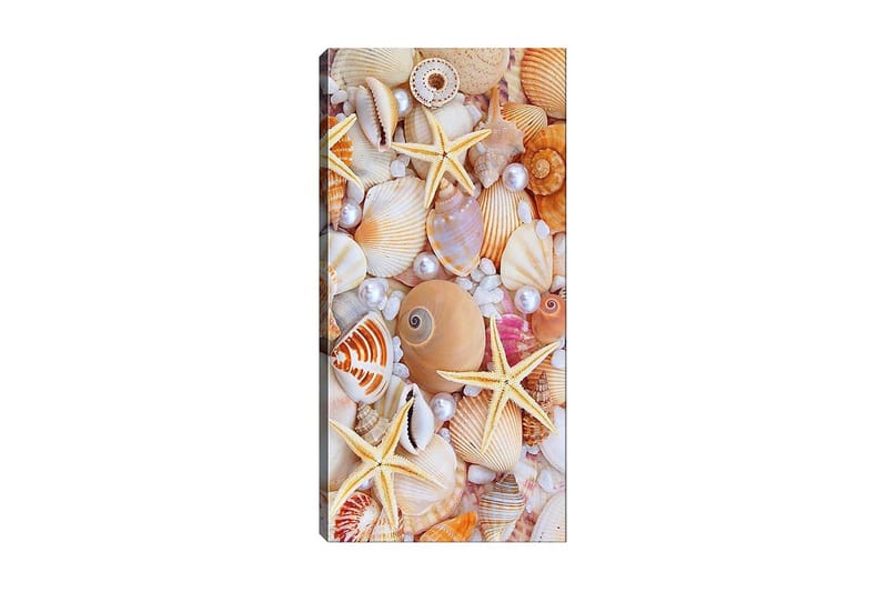 Canvastaulu DKY Nautical & Beach Monivärinen, 50x120 cm